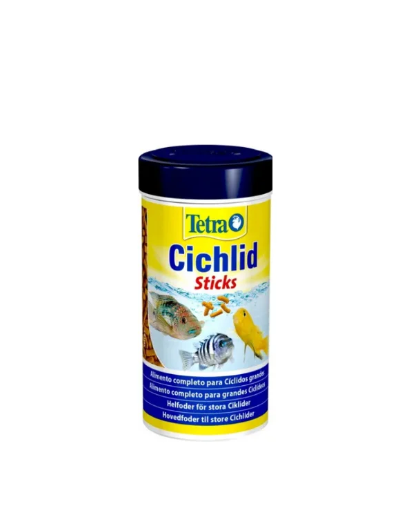 Tetra Cichlid