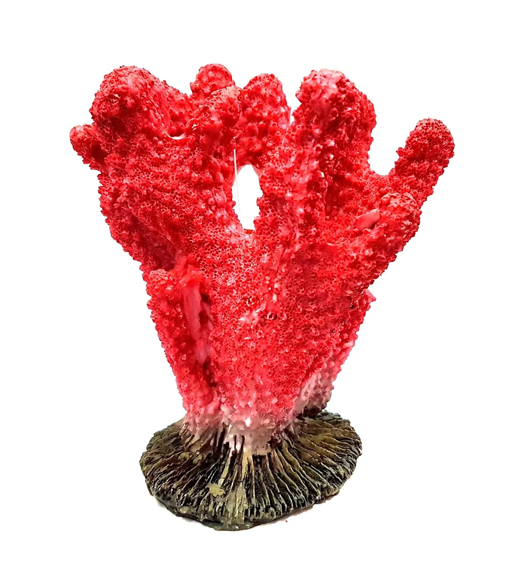 Coral Ramificado