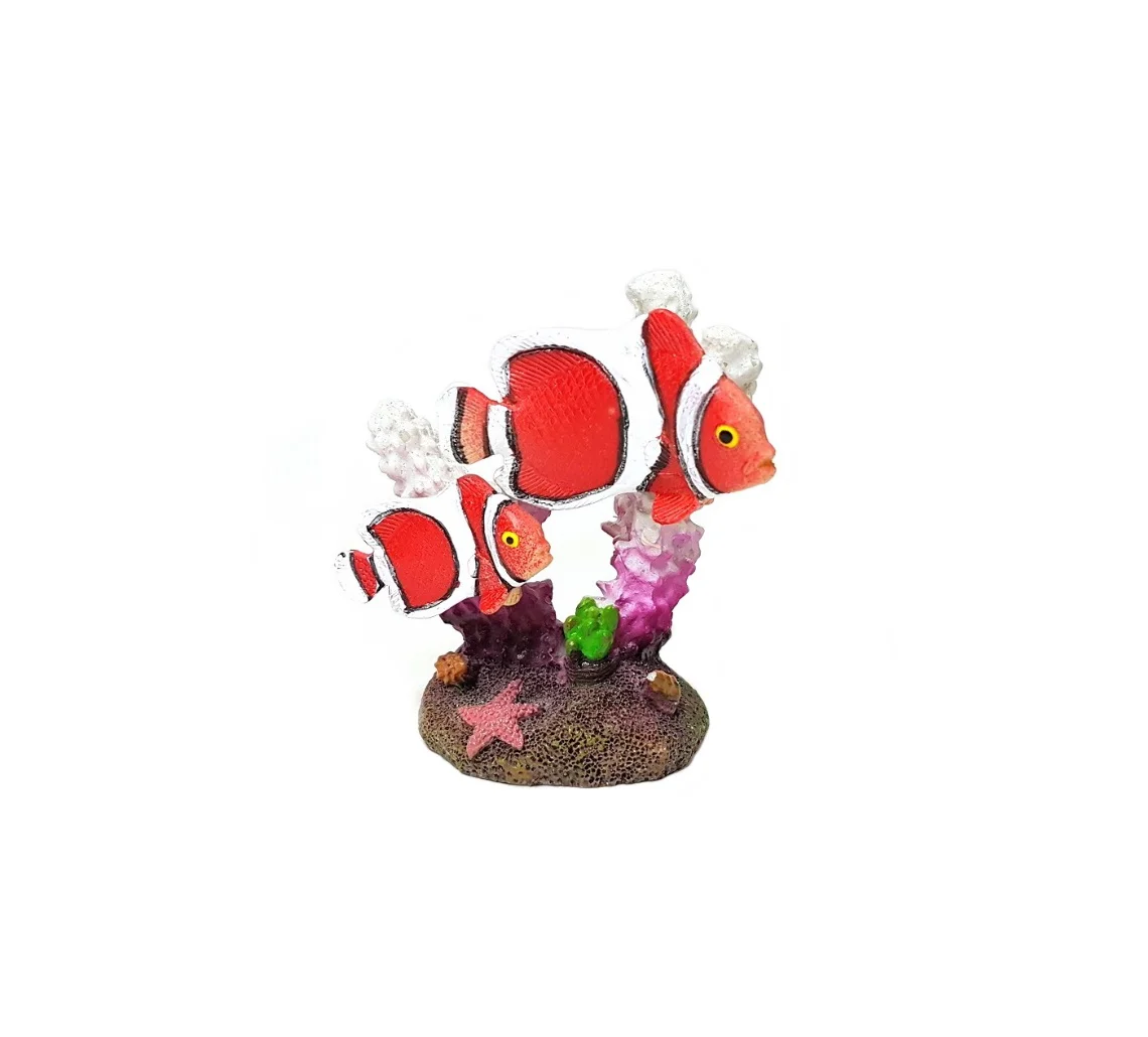 Coral C/pez Payaso