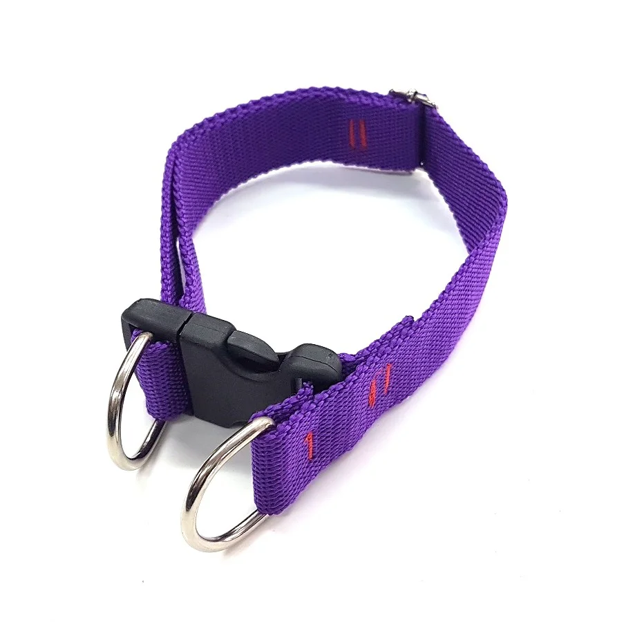 Collar Ny. Regulable 01