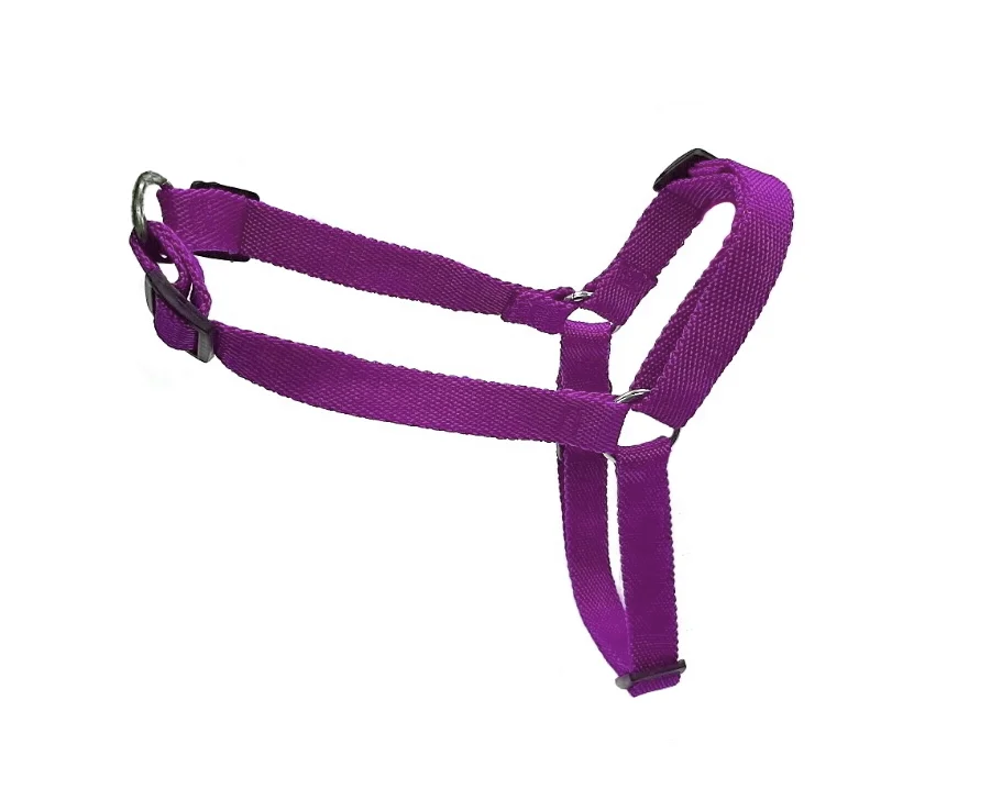 Arnes Anti Tiron 01 45/80 Cm