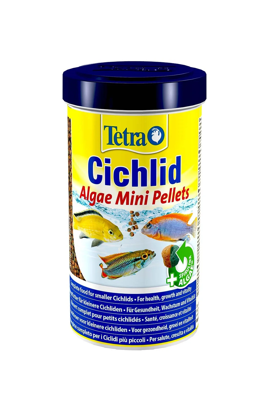 Tetra Cichlid