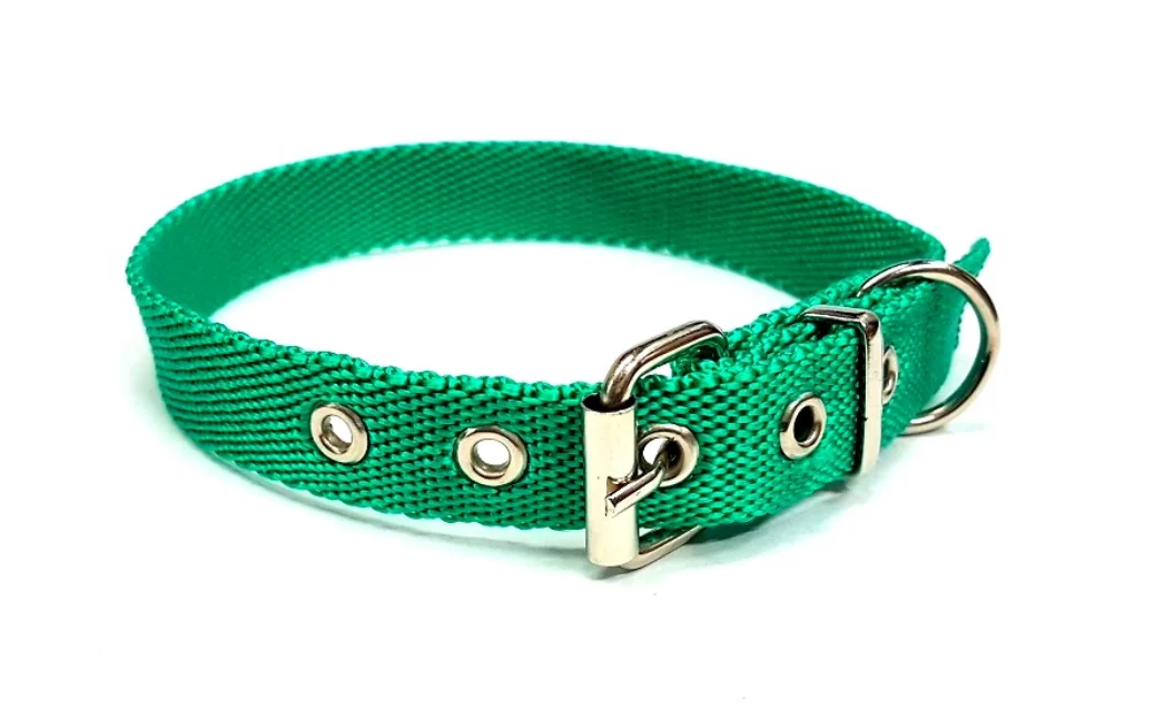 Collar Color Liso Medio 45x2cm