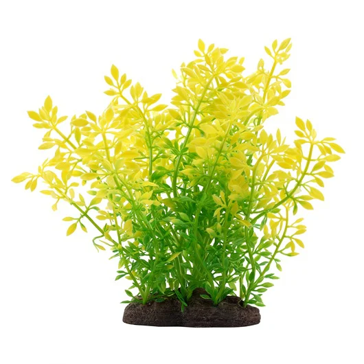 Planta Aqualife