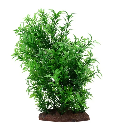 Planta Bacopa Large Fluval