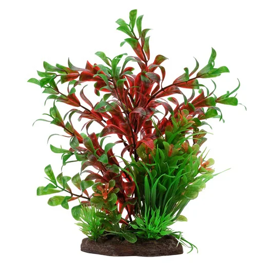 Planta Aqualife