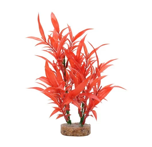 Planta Red-hygrophila Fluval