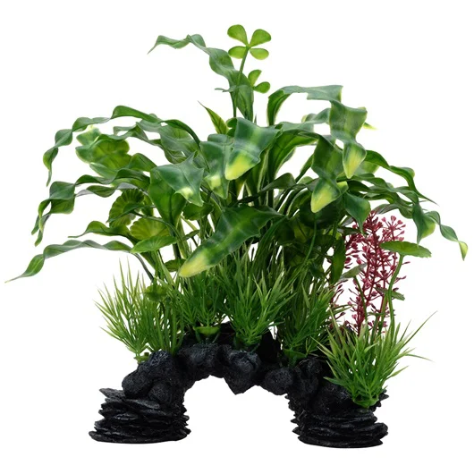 Planta Curly Aponogeton Fluval