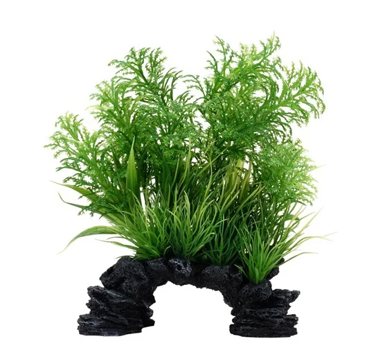 Planta White-tipped Hottonia Fluval