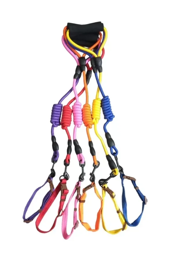 Correa Alpina C/collar Chico