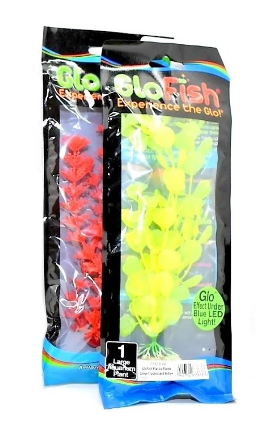 Planta P.glo Tetra L