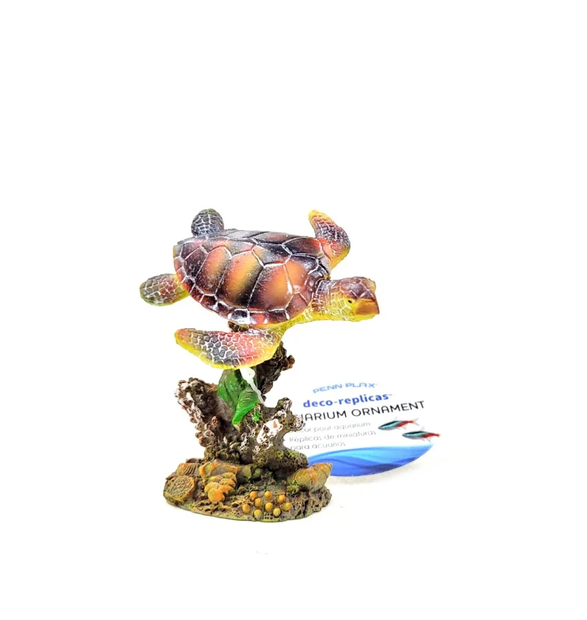 Swimming Sra Turtle S