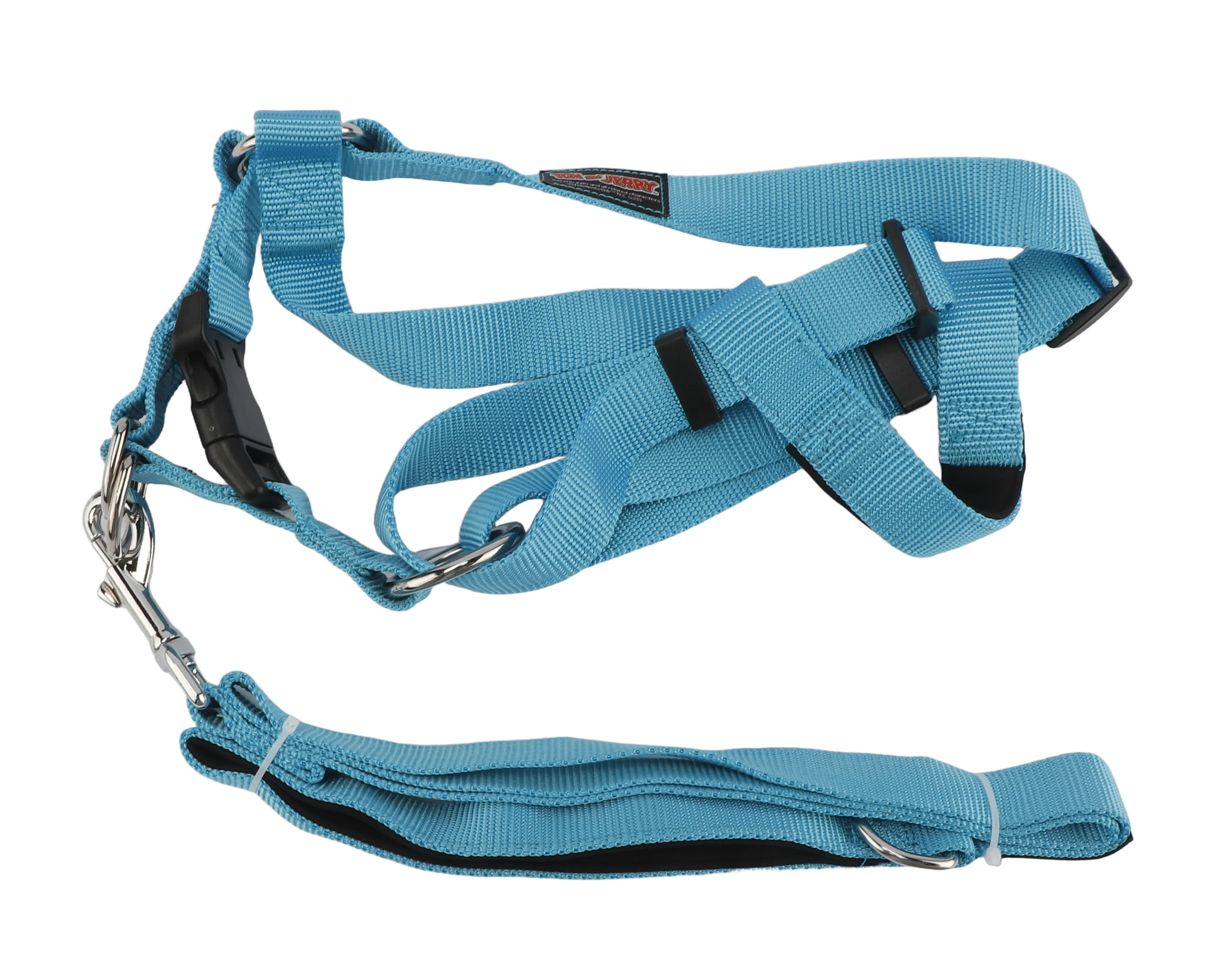 Arnes Con Correa 25 Mm (1200mm-50/70cm) Turquesa