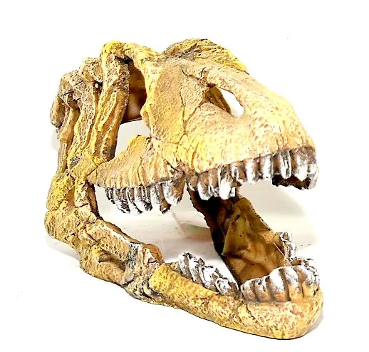 Tiranosaurus