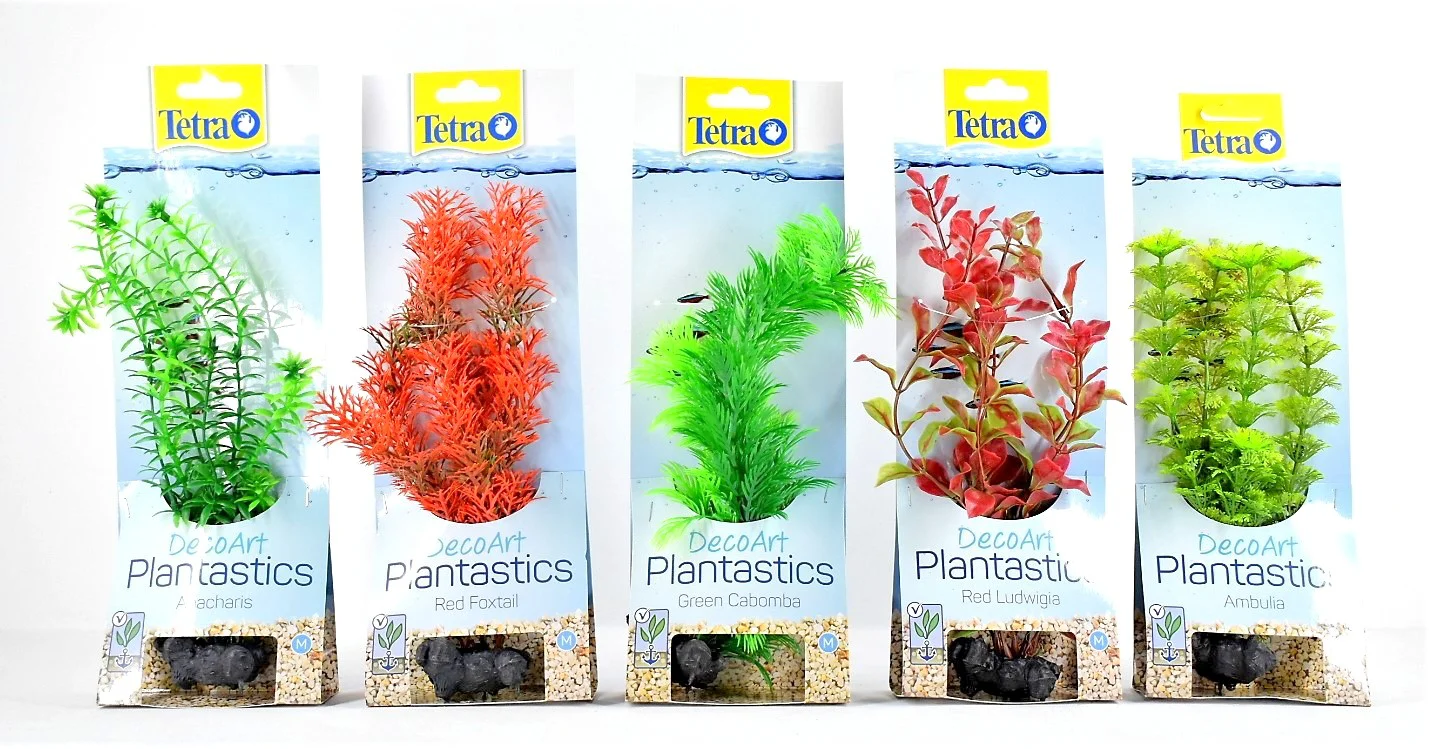 Planta Deco Art Large