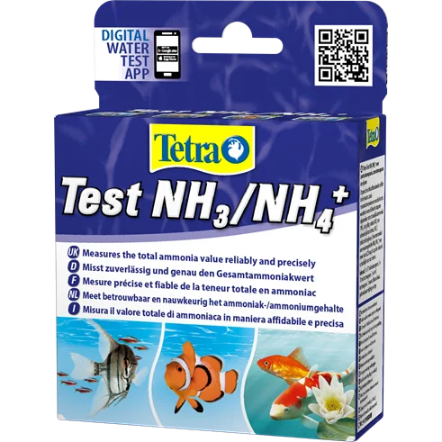 Test Nh3 / Nh4