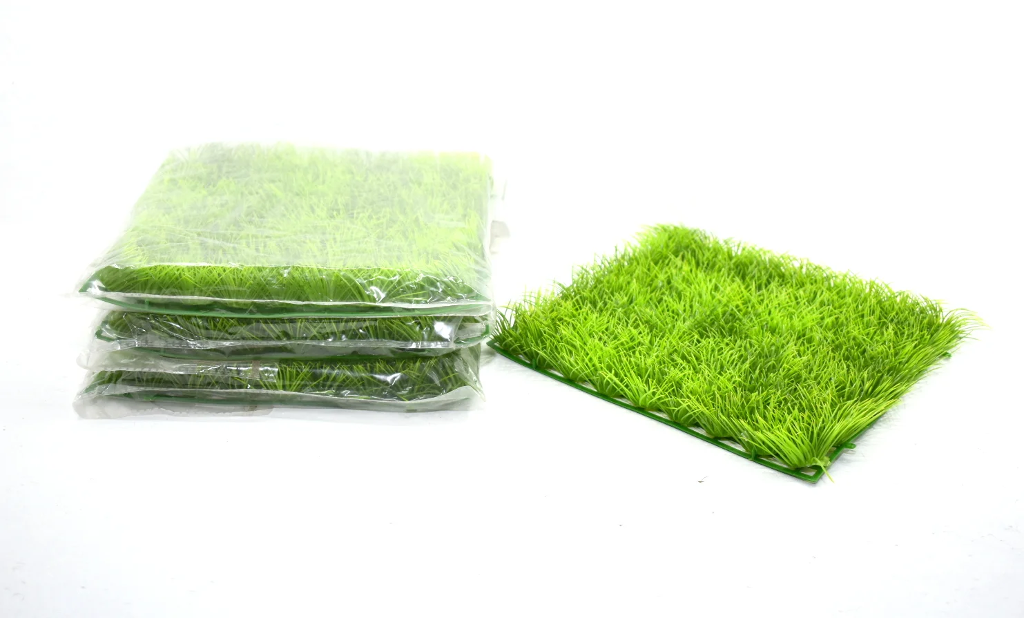 Planta Plastica
