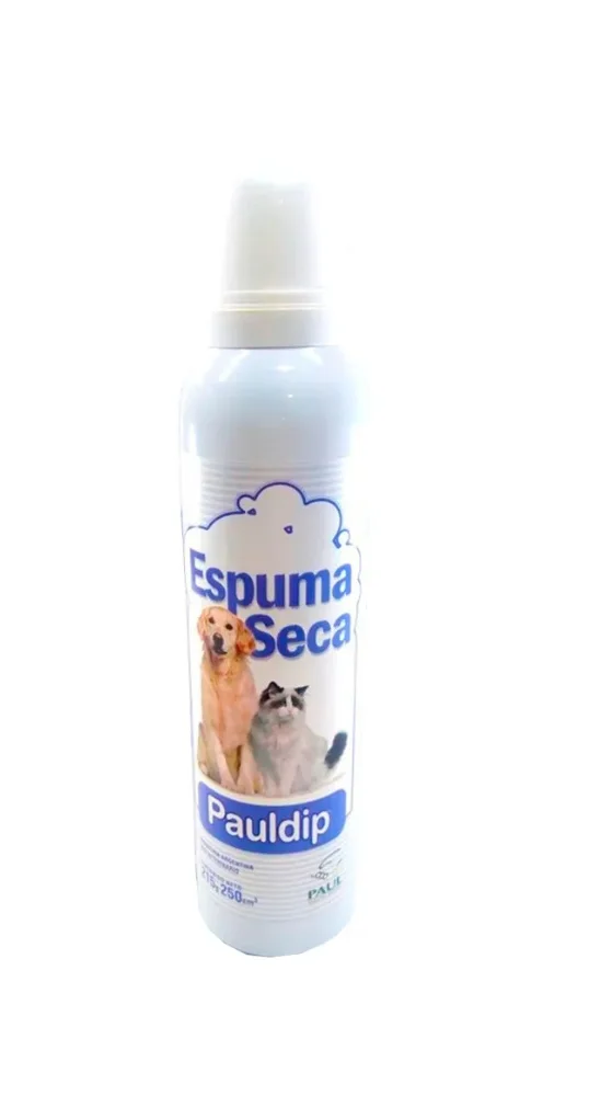 Espuma Seca Pauldip X 250 Ml.