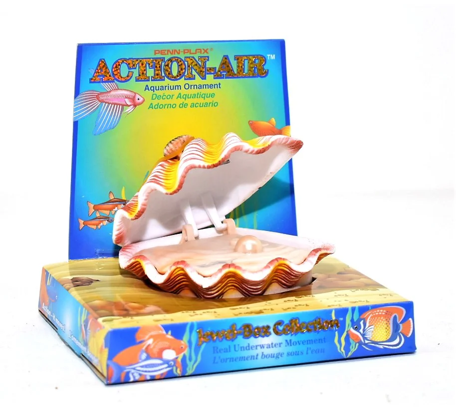 Almeja Tropical