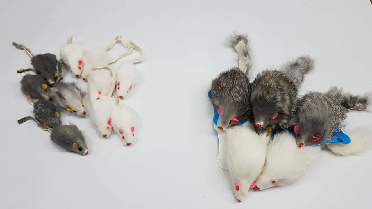 Pelota Cara Raton Peluche X 2 Cascabel